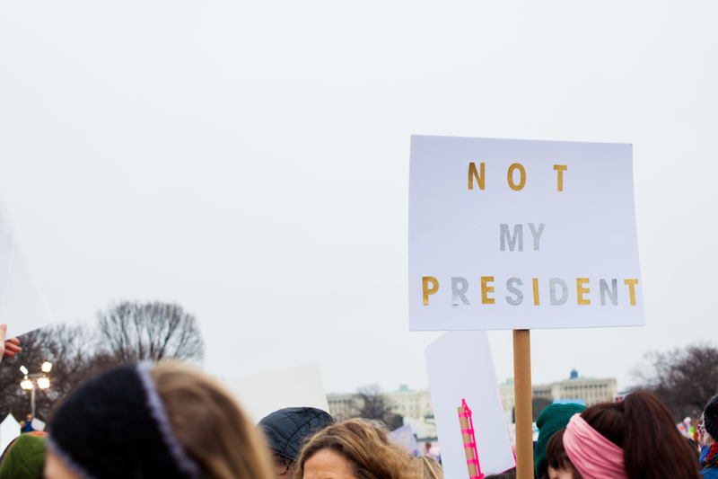 Illustration for article titled WOMEN'S MARCH ON WASHINGTON : THE SIGNS